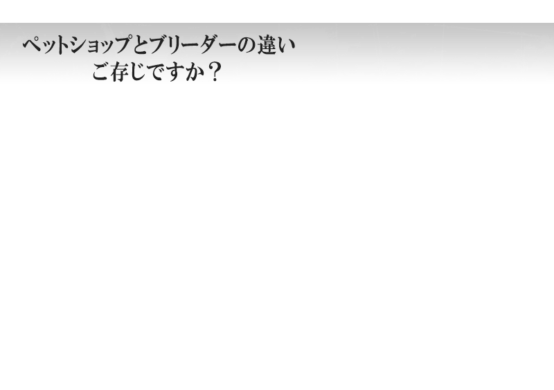 ペットショップとブリーダーの違い