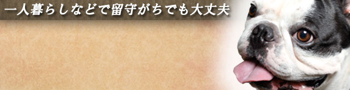 一人暮らしなどで留守しがちでも大丈夫