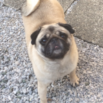 20150221_212650.png