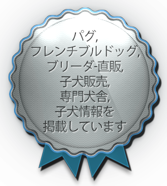 パグ,フレンチブルドッグ,ブリーダー直販,仔犬販売,専門犬舎,子犬情報を掲載しています