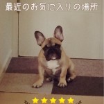 20151005_193852.jpeg