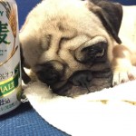 20160727_211651.jpeg